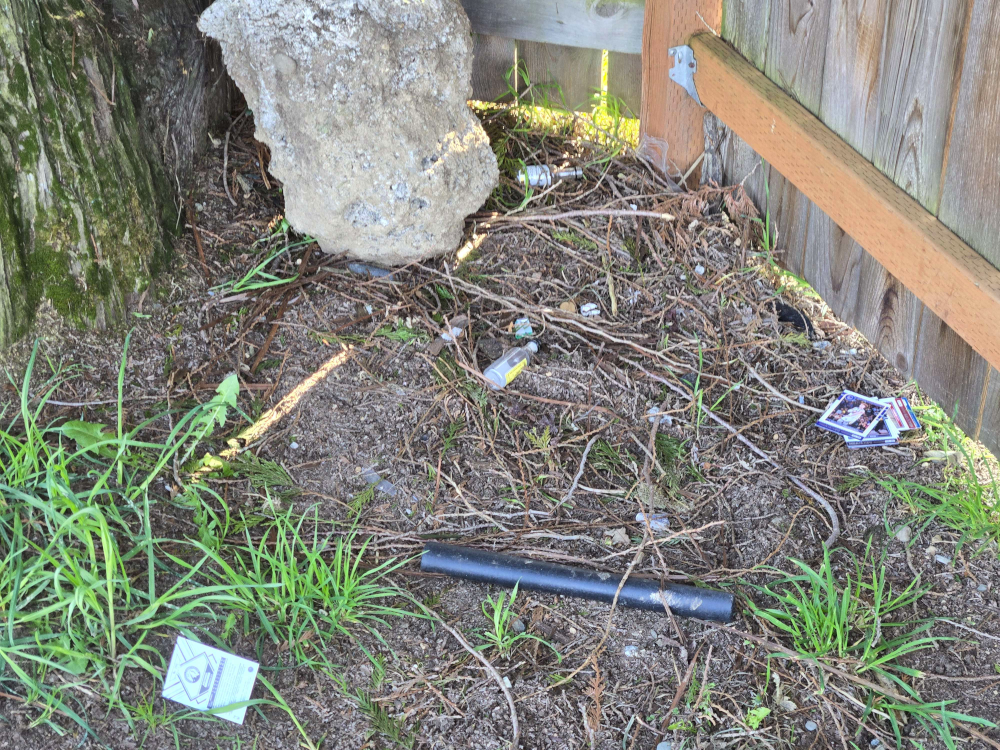 Cards scattered between a fence and a tree trunk, with a black pipe between them.