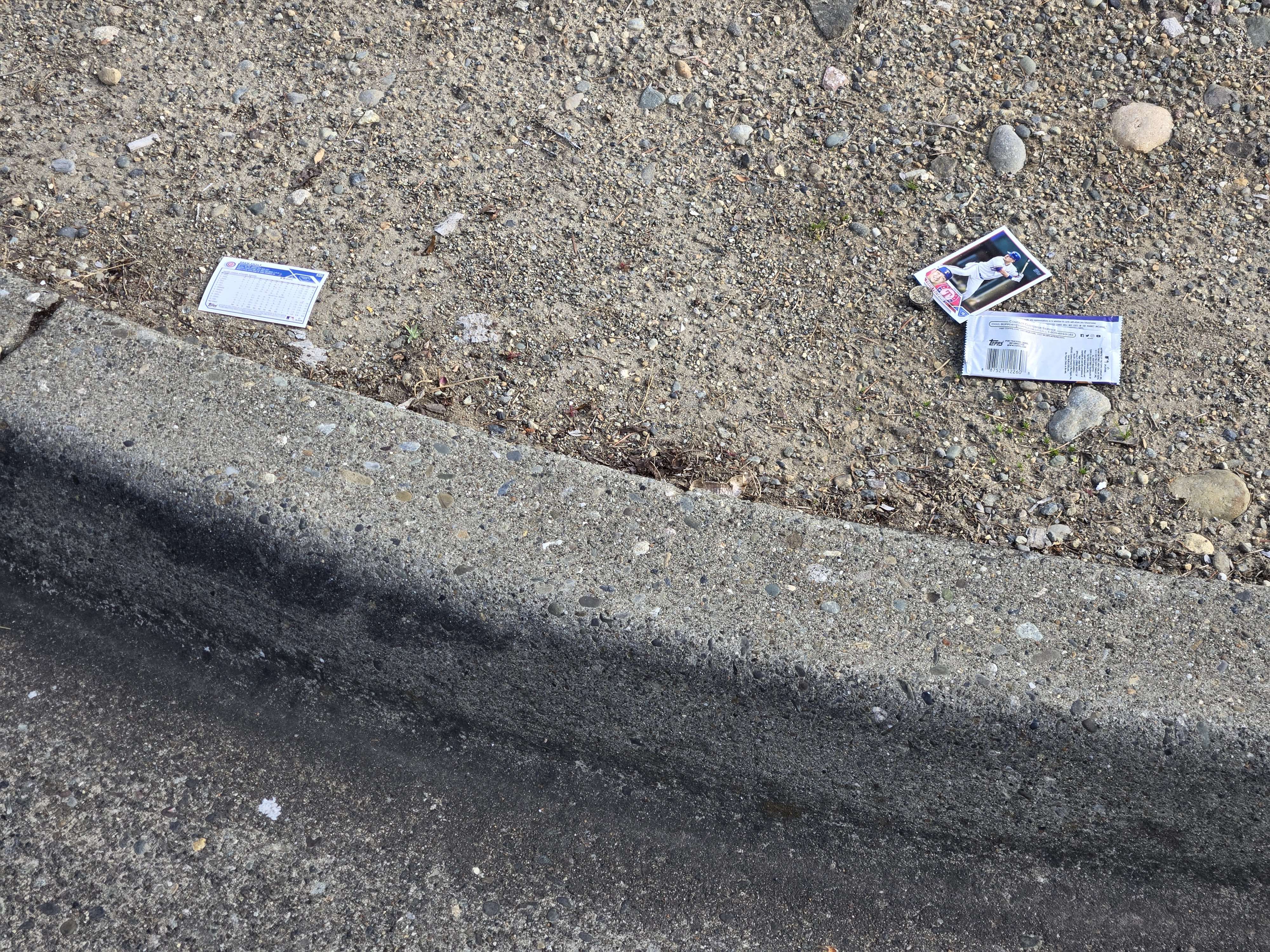Photograph of a stack of fresh baseball cards in a patch of dirt by a curb.